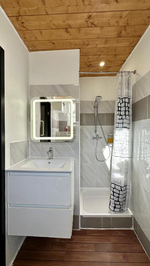 Lion'S Room - 2 Minute Walk From Palais Des Festivals And Beaches Кан Екстериор снимка